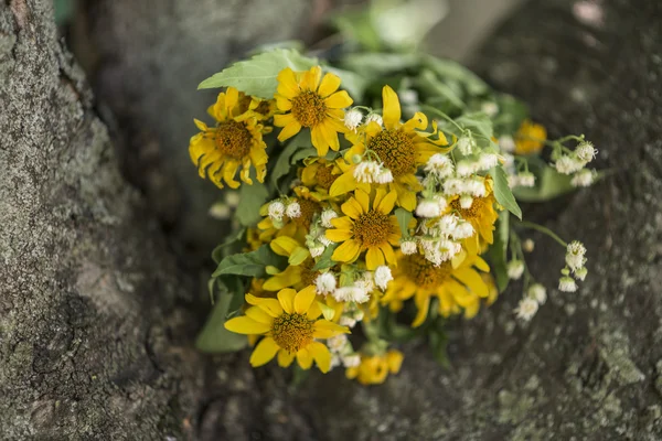 Beyaz ve sarı papatya çiçek buketi — Stok fotoğraf