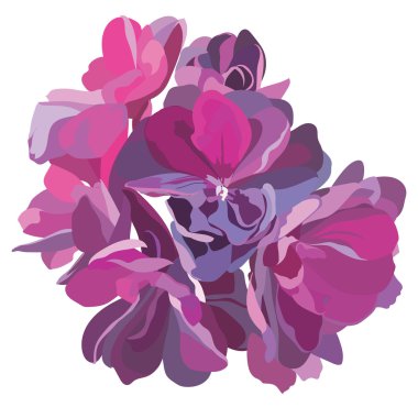 Bahar yaz çiçek izole