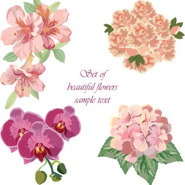 Bahar Yaz renkli çiçek ayarla