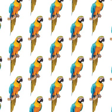Renkli papağan desen Vektör