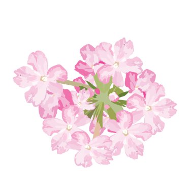 Pembe çiçek buketi beyaz izole