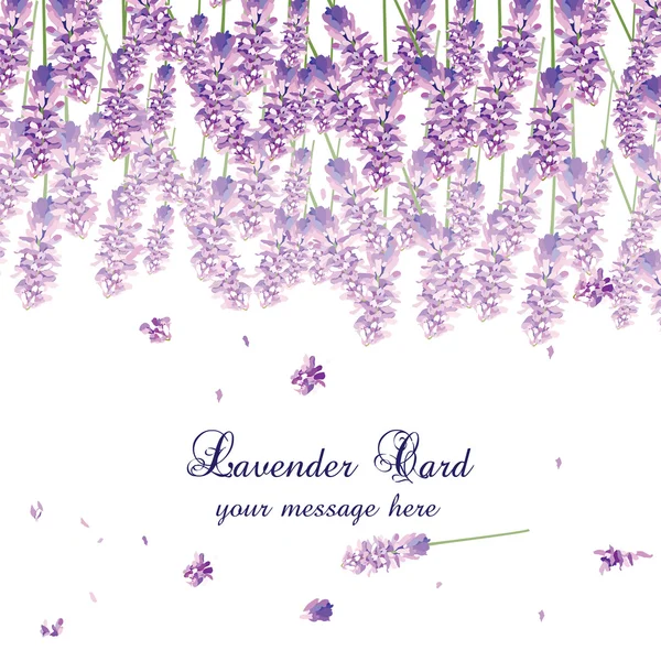 Cartão de lavanda com flores em tinta aquarela — Vetor de Stock