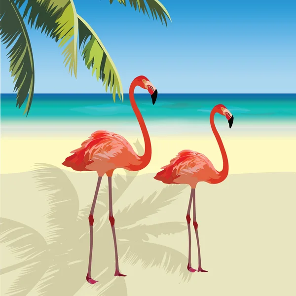 Duas aves flamingo em Tropic Beach — Vetor de Stock