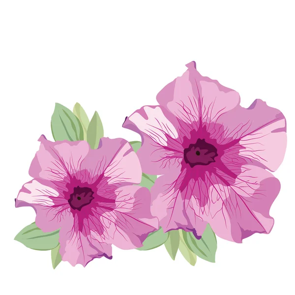 Bunga musim panas merah muda terisolasi - Stok Vektor
