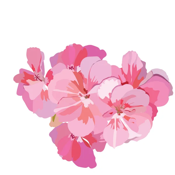 Pink flowers bouquet isolated — Stock Vector