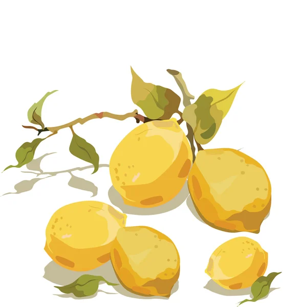 Φρέσκο λεμόνι κλαδί με φύλλα — Διανυσματικό Αρχείο