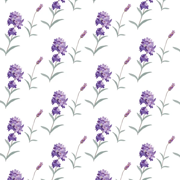 Lavender pattern with flowers in watercolor paint — Stock Vector