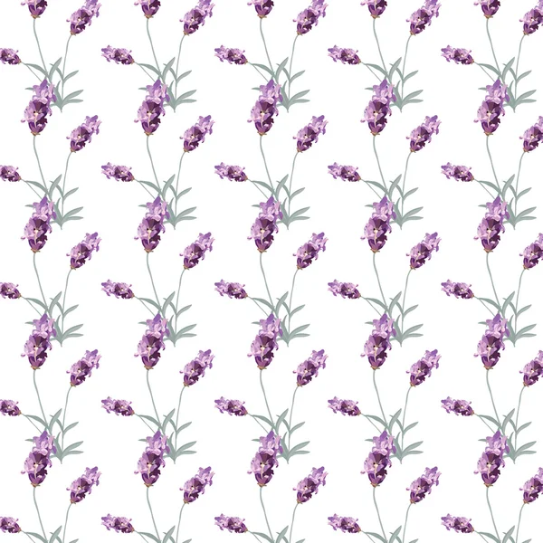 Lavendelmuster mit Blüten — Stockvektor