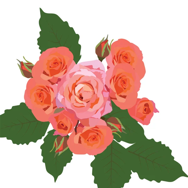 精致的粉红玫瑰花束 — 图库矢量图片