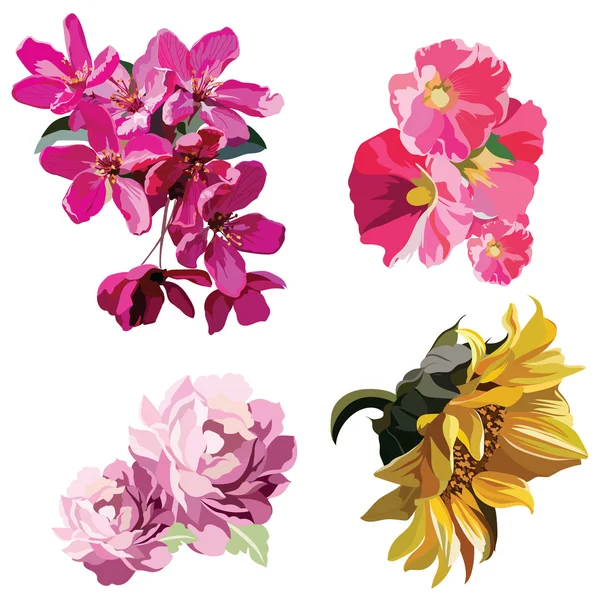 Primavera Verano flores coloridas — Archivo Imágenes Vectoriales
