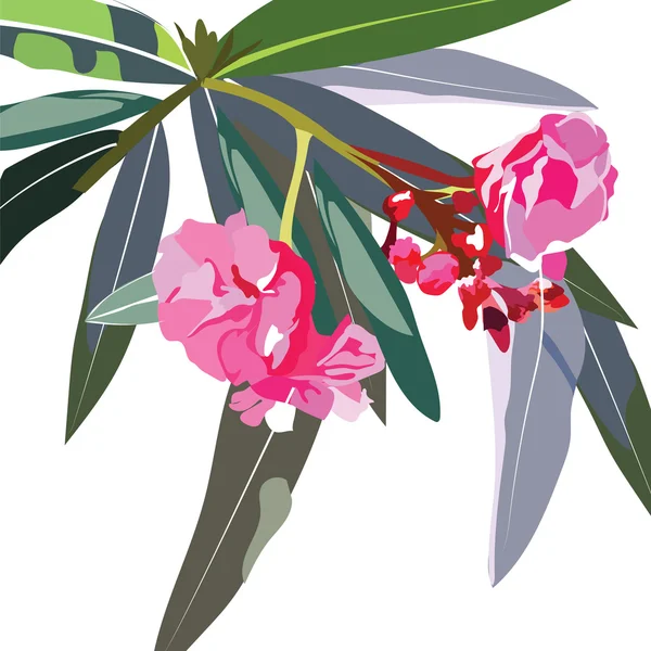 热带花卉枝 — 图库矢量图片