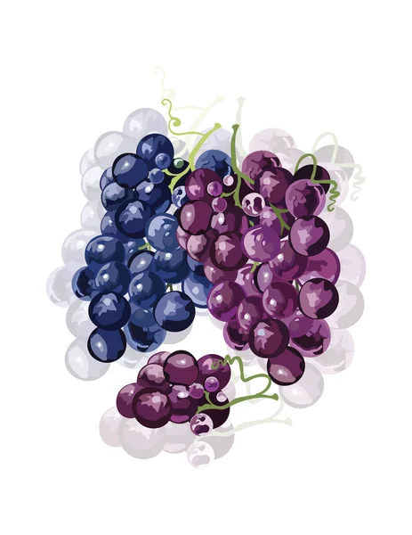 Uvas rojas aisladas — Archivo Imágenes Vectoriales