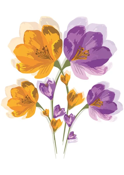 Весняне літо барвисті квіти — стоковий вектор