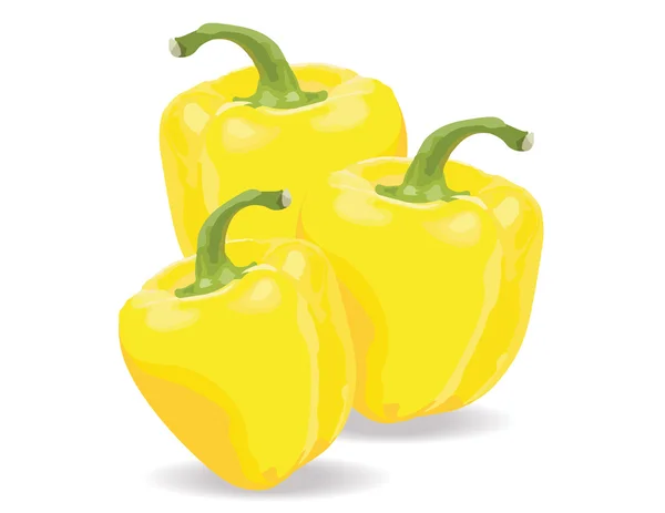 Gelbe bulgarische Paprika, — Stockvektor