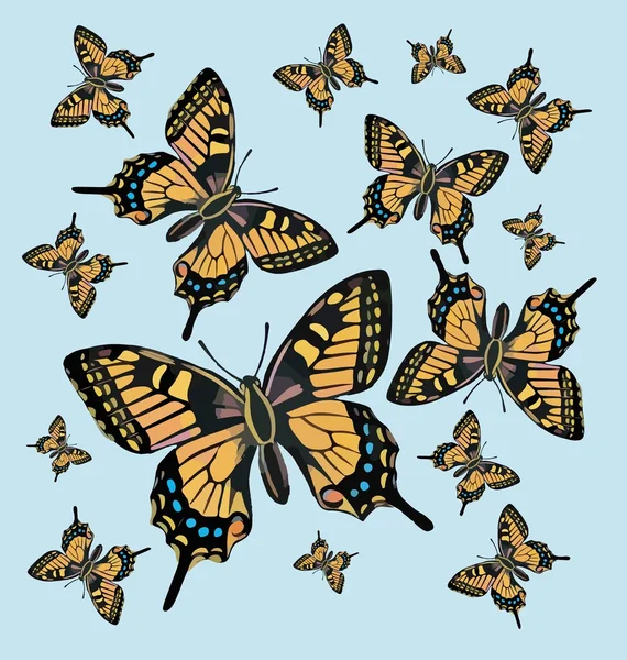 Fondo de patrón de mariposa — Archivo Imágenes Vectoriales
