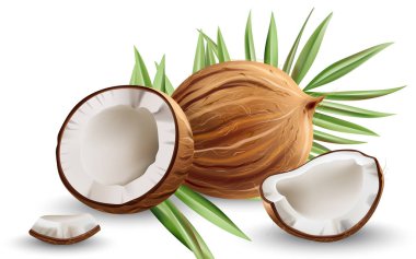 Canavar yapraklarıyla hindistan cevizi kırdım. Gerçekçi. 3B model ürün yerleştirme