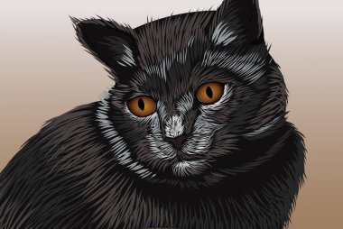 Kahverengi gözlü kara kedi başka tarafa bakıyor. Gerçekçi el çizimi