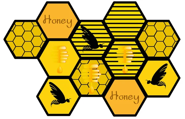 Složení různých plástů s kapajícím medem a včelami — Stockový vektor