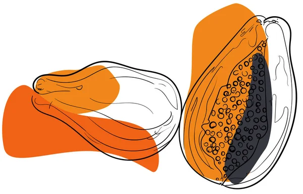 Met de hand getekende gehalveerde en hele papaya fruit met oranje kleurenschema — Stockvector