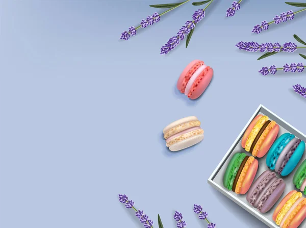 Macaroons conjunto e lavanda Vector realista. 3d ilustrações detalhadas — Vetor de Stock