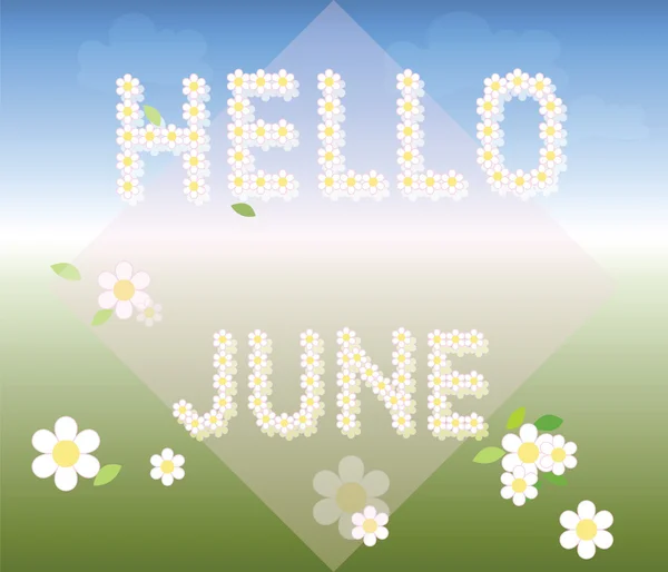 Hello june background with chamomiles — Stock Vector