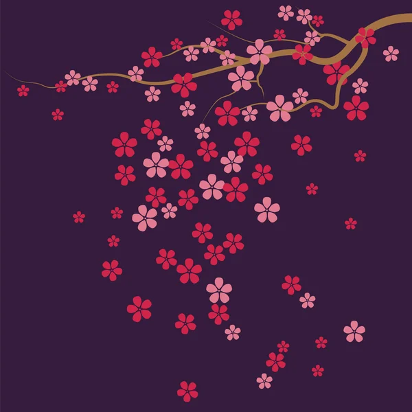 Körsbär blommor mönster — Stock vektor