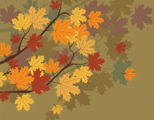 Orange Herbstblätter am Baum — Stockvektor