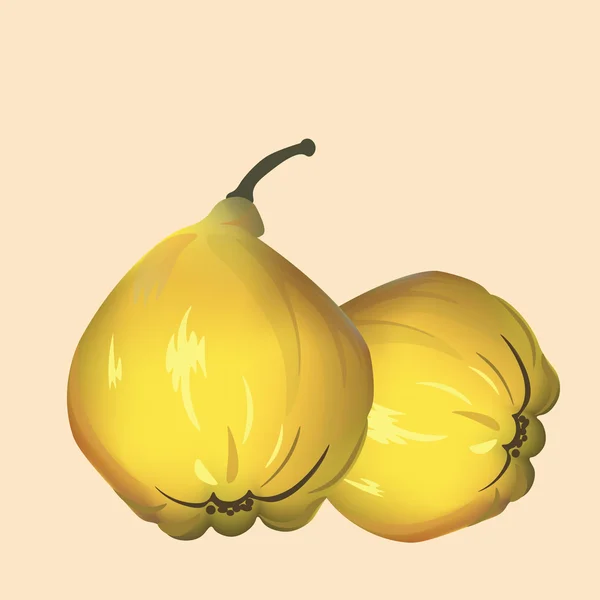 Dos Quinces aislados — Vector de stock