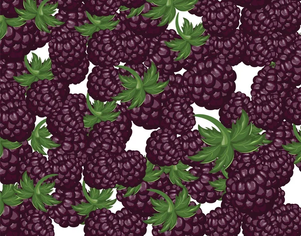 Blackberries sobremesa fundo — Vetor de Stock