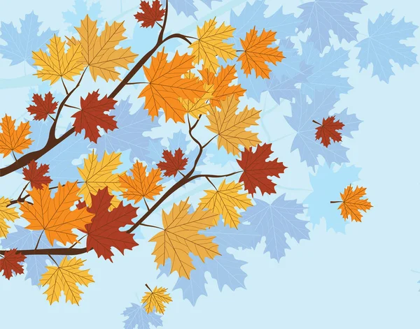 Orange Autumn Maple Leaves — Stock Vector