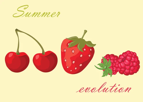 Letní plody pozadí — Stockový vektor