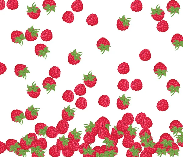 Modèle de framboise rouge — Image vectorielle