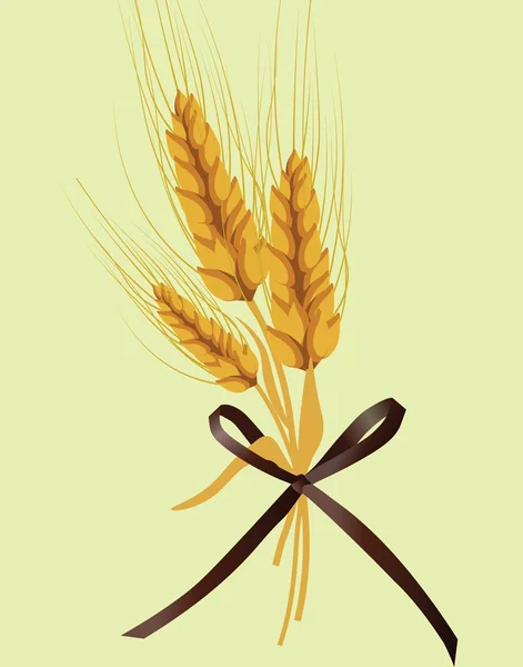 小麦的耳朵设计 — 图库矢量图片