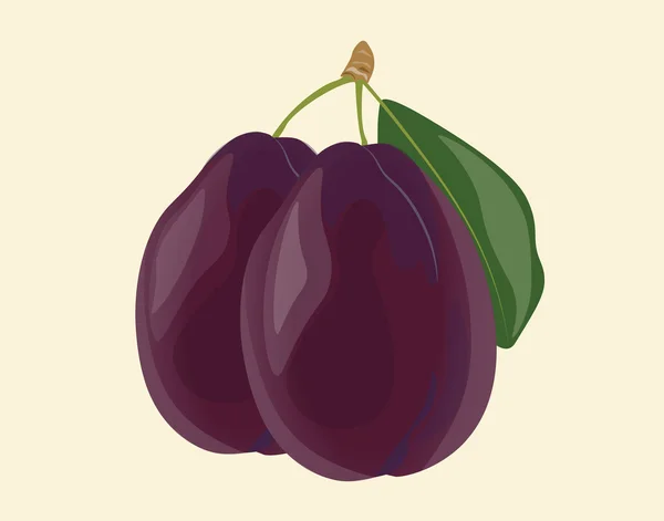 Plommon frukt isolerade — Stock vektor