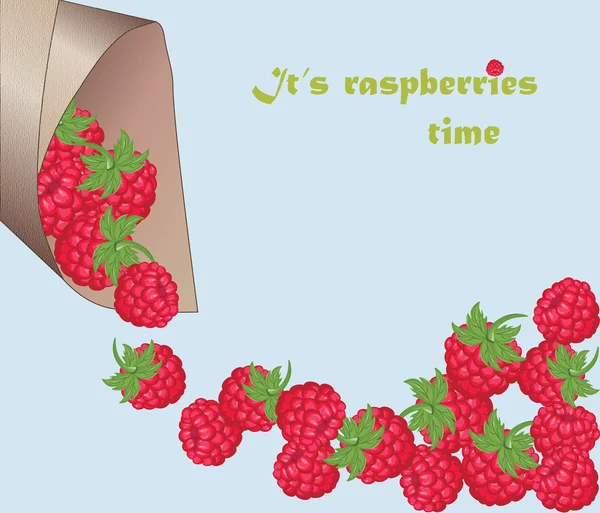 Latar belakang raspberry merah segar - Stok Vektor