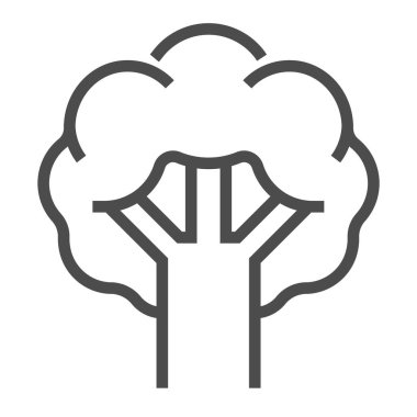 Brokoli, kare çizgi vektör simgesi.