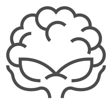 Karnabahar, kare çizgi vektör simgesi.