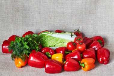 Domates, kırmızı biber, Beijing lahana, maydanoz, gri bir tuval üzerine rezene