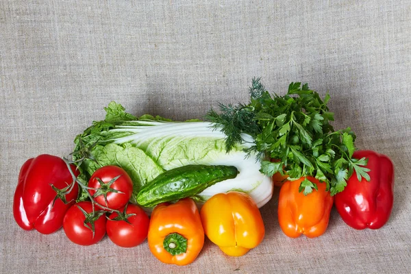 Káposzta, kapor, petrezselyem, paradicsom, paprika, uborka egy szürke vászon — Stock Fotó