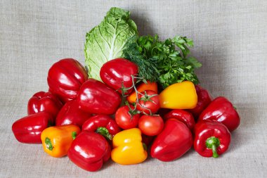 Maydanoz, domates, kırmızı biber, Beijing lahana, gri bir tuval üzerine rezene