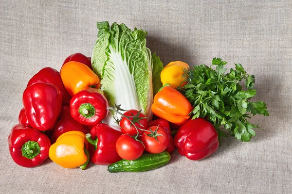 Salsa, funcho e verduras em uma tela cinza — Fotografia de Stock