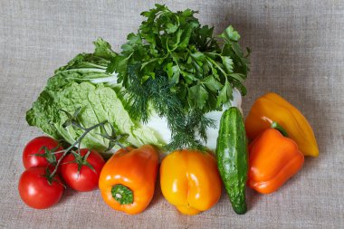 Lahana, domates, kırmızı biber, salatalık, rezene, gri bir tuval üzerine maydanoz