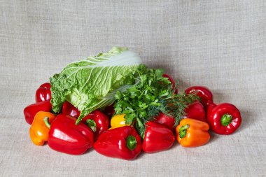 Maydanoz, sebze, rezene, Beijing lahana yalanlar gri bir tuval üzerine