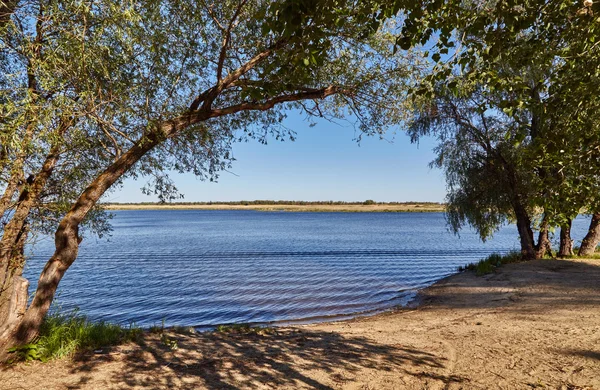 Il golfo del Volga tra gli alberi — Foto Stock