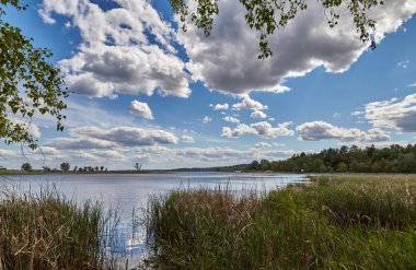 Su, çimenli sahil üzerinde bulutlar