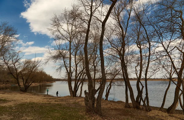 Волга краєвид крізь дерева — стокове фото
