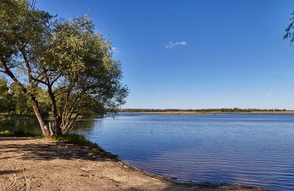 Волга затоки і дерев навесні — стокове фото