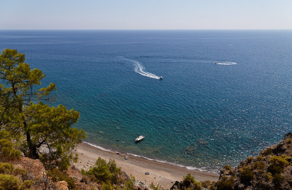 Sea landscape with a tree - a photo 3