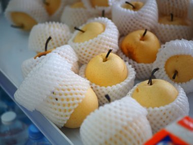 Beyaz ağlarla korunan bir Asya armut kümesi. Dinleniyor ve canlı sarı renklerini sergiliyor.