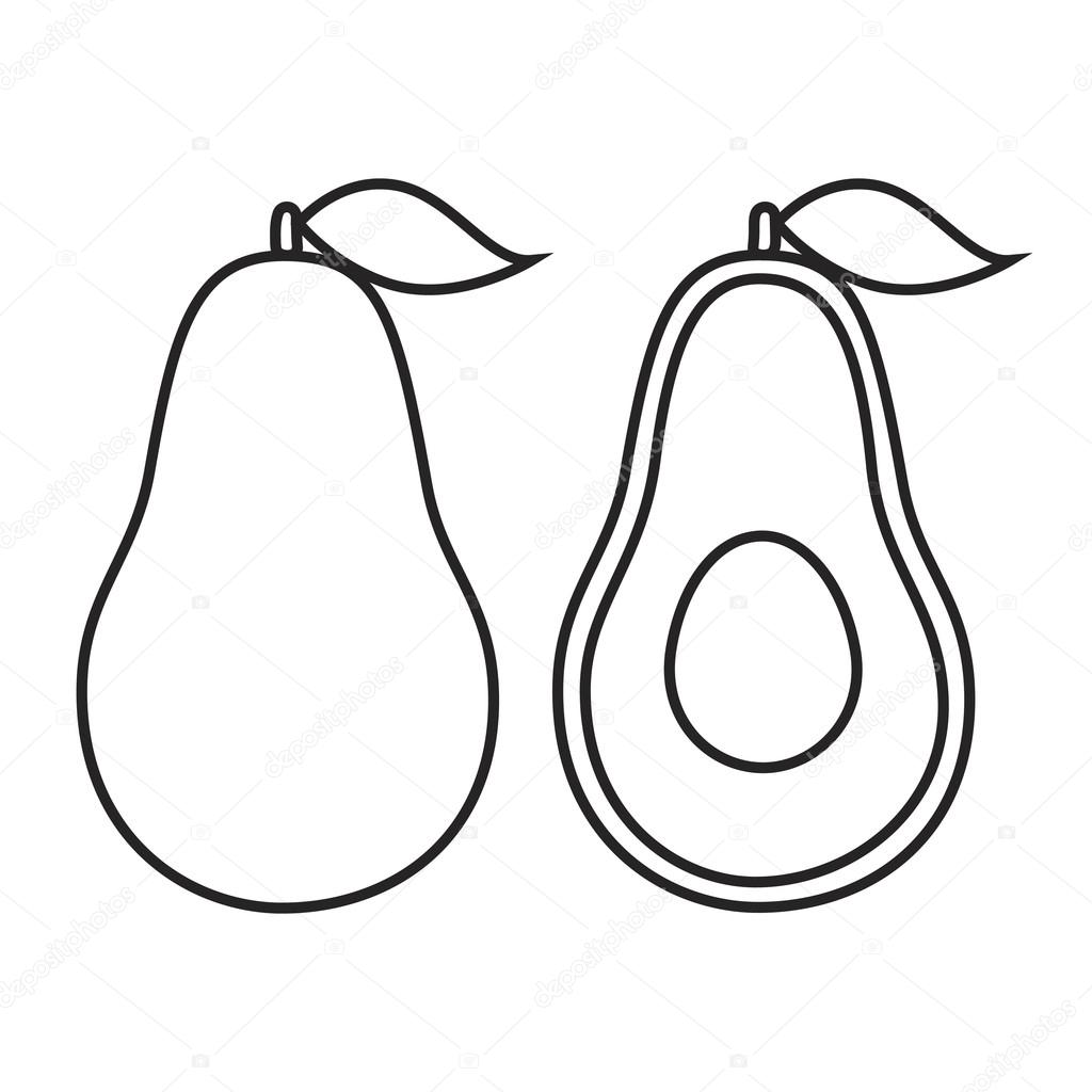 Line icon avocado — Stock Vector © Oliveradesign #100119624